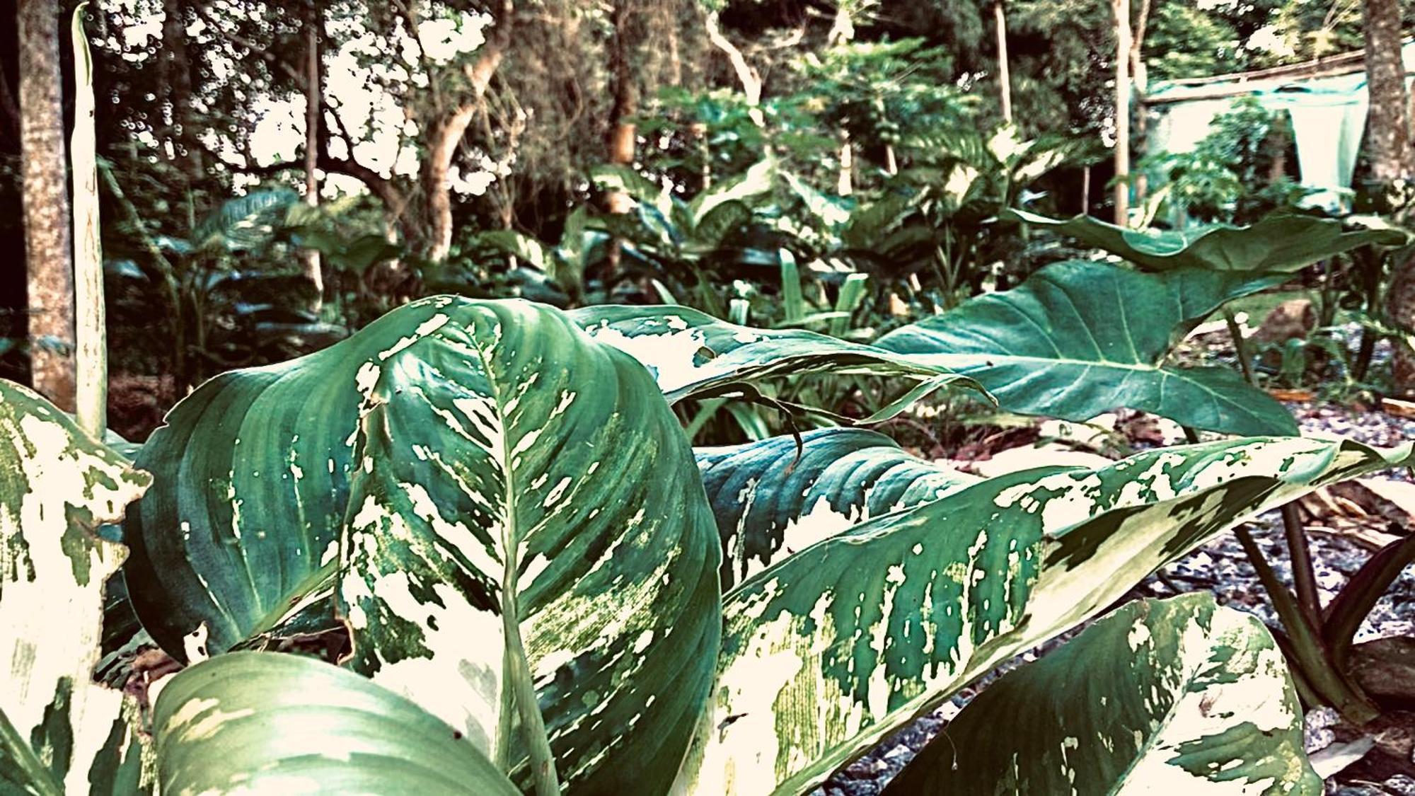 Nature'S Cradle Obosomase Exterior foto